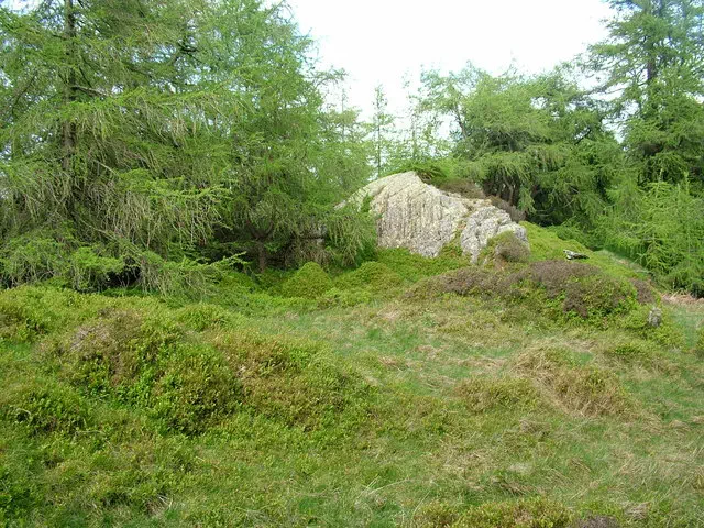 Birch Fell - Cumbria