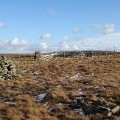 Fences and ruined walls east of Swinhope Head
