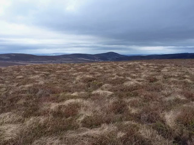 Hill of Cammie - Aberdeenshire