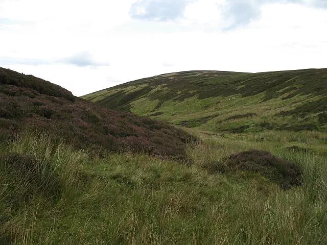 Mossy Rig - Scottish Borders