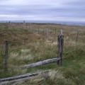 Summit fences, Windlestraw Law