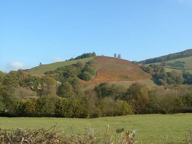 Castle Hill - Powys