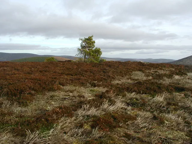 Hill of Cummerton - Aberdeenshire