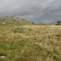 Dartmoor: Rippon Tor