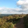Hilltop path on the Chevin
