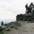 Sheep on the Old Man of Coniston summit