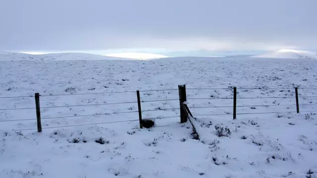 Lint Lands - Scottish Borders