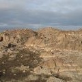 Defoliated ground, Bass Rock