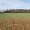 Wheatham Hill