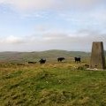 The trig point on Knockdaw Hill
