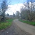 Lane at Hegdon Hill - 1