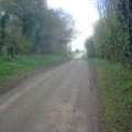 Lane at Hegdon Hill - 2