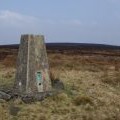 The Wolf Stones trig point