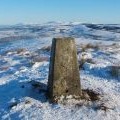 Bromley Muir trig point