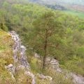 Scout Scar, Bradleyfield