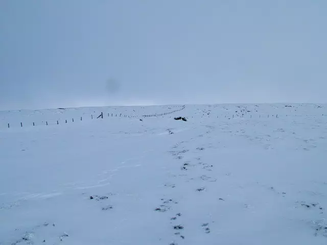 Knoutberry Hill - Cumbria