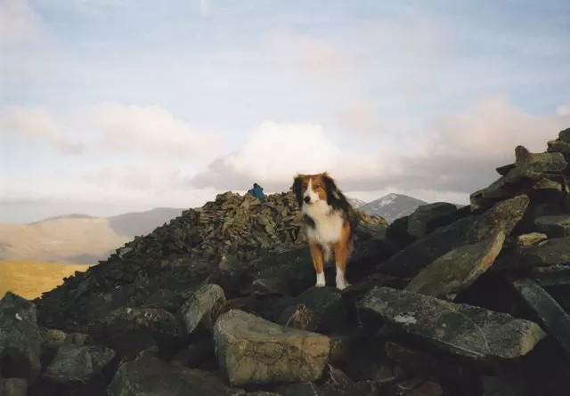 Elidir Fawr - Gwynedd