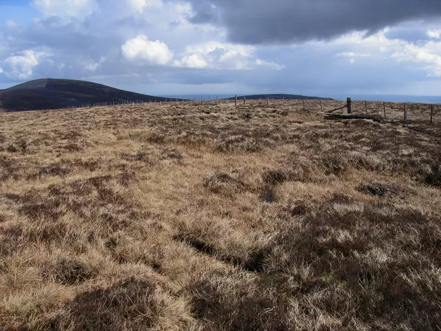 Comb Fell - Scottish Borders