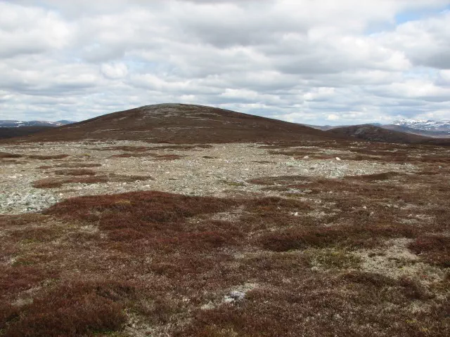 Geal Charn NE Top - Perth and Kinross