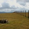 Carrifran Gans summit and boundary fence