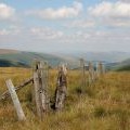 Summit fence, Cowan's Croft