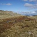 Boggy patch near the top of Rhobell Fawr