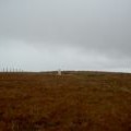 Winter Hill trig point
