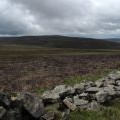 Ruined wall at summit area of Burtree Fell
