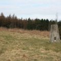 Trig point, Mount Hill