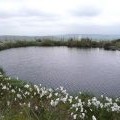 Pond at Freeholds Top