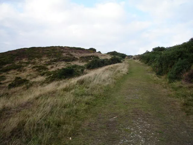 Hollerday Hill - Devon