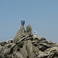 Is this the highest point of Glyder Fawr?