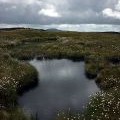 A peaty (Lancashire) pool on Gragareth