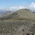 Symonds Knott.