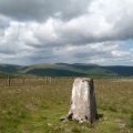 Grassy moorland with fence north of summit of Colt Hill