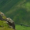 Sheep on a ledge, Brock Crags