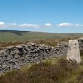 Ruined wall and trig point of 'Low Green Field Lings'