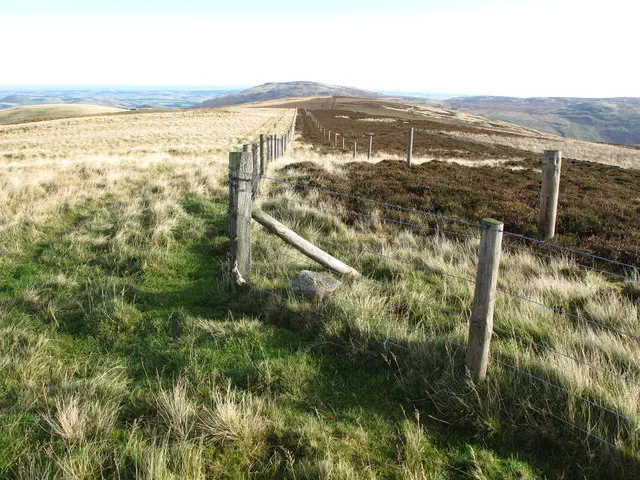 Black Hag - Scottish Borders