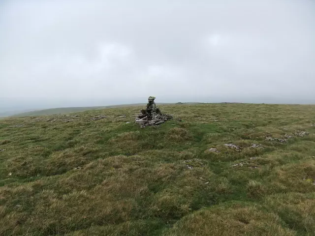 Proctor High Mark - North Yorkshire