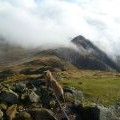 On Pike of Stickle