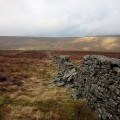 Moorland wall, Cam Rakes (or Low Green Field Lings)