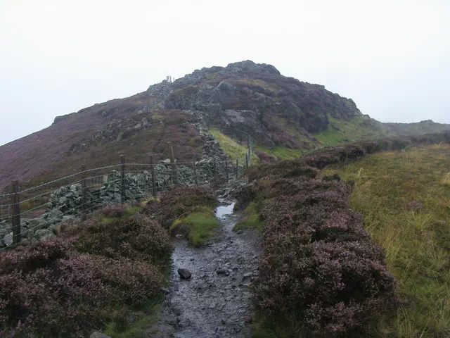 Lingmoor Fell - Cumbria