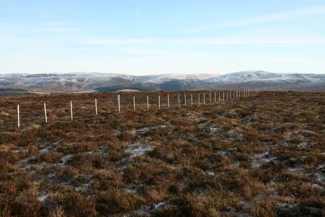 Tom na Bat - Highland
