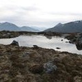 Small pool on Meall Bhalach