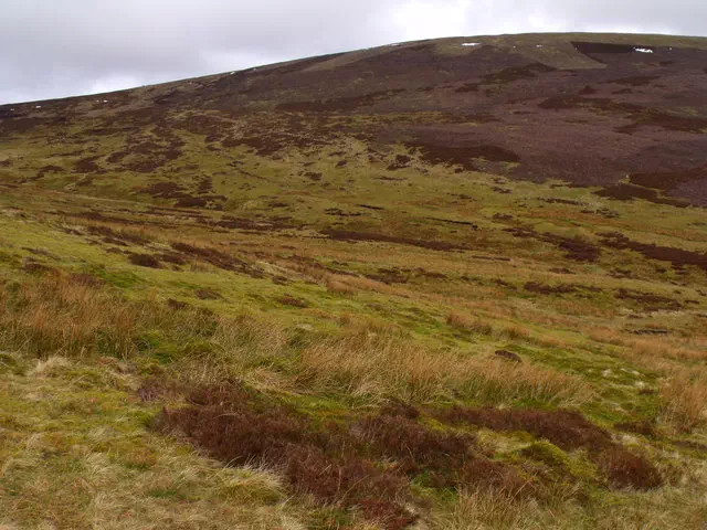 Hill of Mondurran - Angus