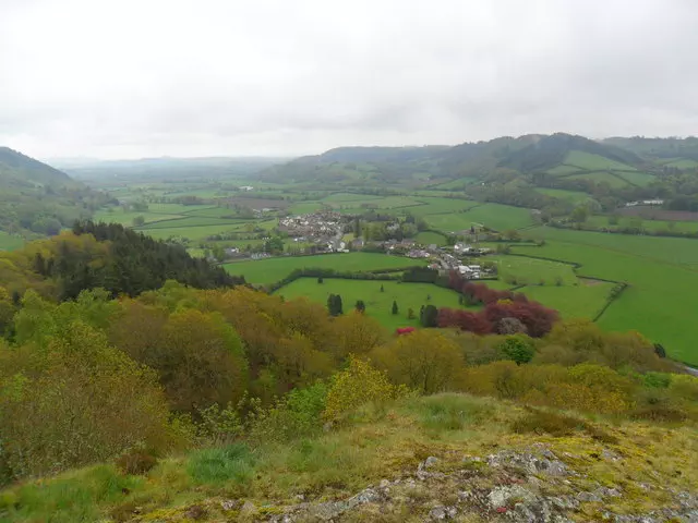 Gallt yr Ancr - Powys