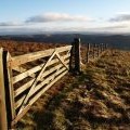 Gate and fence, Black Knowe Head