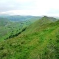 The path to Martindale