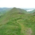 The path to Martindale