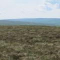 The Northumberland/Durham county border ridge on Stangend Rigg